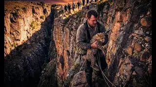 DANGEROUS Rescue of Baby Cheetah Trapped on a Cliff! 😱