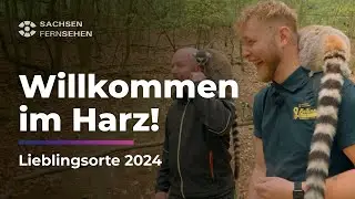 EINEN TAG IM HARZ: Exotische Kattas, Rosenmeer & historische Schlösser I Sachsen Fernsehen