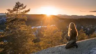 my life in the Norwegian forest. Story 7