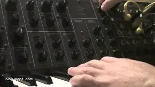 Korg MS-20 EG controlled groove #korgms20
