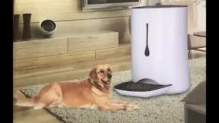 Review Wopet Auto Pet Feeder 4 Meals, Removable hopper