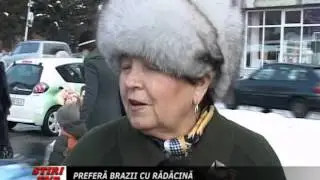 Prefera brazii cu radacina