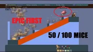 Transformice Gameplay 50 &middot; 100 Mice [BURLAS] / Fails / Bootcamp