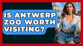 Is Antwerp Zoo Worth Visiting? - Exploring The Benelux