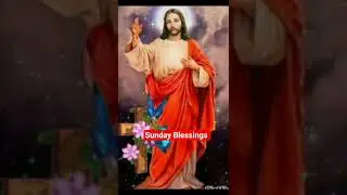 സ്വർഗ്ഗസ്ഥിതനാം താതാ നിൻ....💕Sunday Blessings 💕Holy mass song |YouTube Shorts.