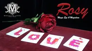 Rosy by Magic Eye and Magiclism