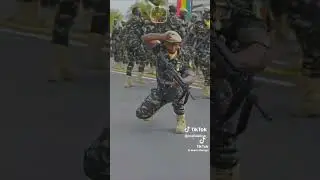 Niger Army
