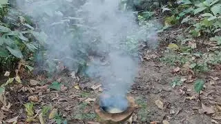 Coconut inside chemical fire experiments 🤫