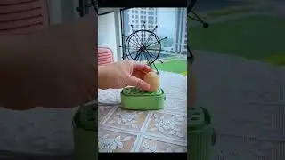 Portable Egg Boiler 🥚 #everydayconvenience #kitchentools