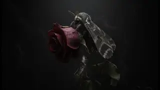D3ADLOCK (prod.Chckn)