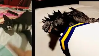Godzilla Cat Scratches
