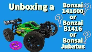 Unboxing a Bonzai 141600, Bonzai B1416, or Bonzai Jubatus