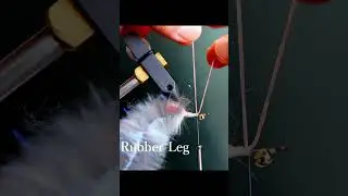 Mud Shrimp For Yellowfin Seabream #shorts #flytyingaddict #flytying