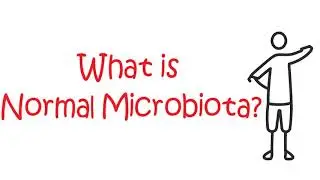 What is Normal Microbiota-  | immunology lecture 2  |