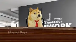 How NoT to give a job interview  Thanos Doge  Business job interview went wrong    &copy; Trimohan Vijay4