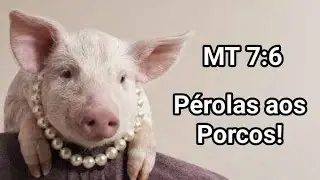 Não jogue suas pérolas aos Porcos! Mateus 7:6