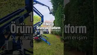 AĞA&Ccedil; BUDAMA İŞLEMİ #shorts  #short