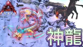 まさに神龍⁉️ オーレリアックスを発見する王国反逆者のAKinoyoru【ASA:Lost Colony】 #2