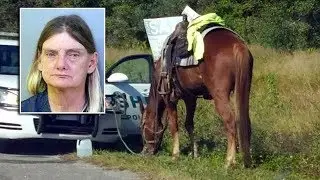 Florida woman gets DUI on horseback