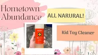 All Natural Child Toy Cleaner