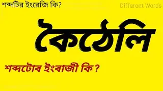 What is the Meaning of stirrer with Clarification || Stirrer Meaning in Assamese with Explanation