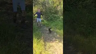 Landscaping a woodland road #permaculture #treeplanting #adventure #inspiration #cat #ideas #mud