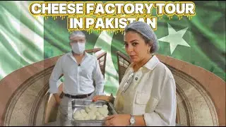 Cheese Factory Tour in Pakistan: From Production to Taste Test | Make In Pakistan | Sara Malvy