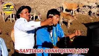 Santiago en Conayca 2017 PASACALLE TRADICIONAL - Ganupar Producciones FULL HD -4K