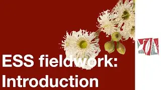EES fieldwork video 1: Introduction