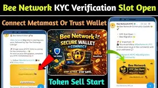 💯Bee Network KYC Slot Open For All Users | Bee Network Connect Trust Wallet Or Metamask Wallet