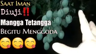 #ujinyali⁉️