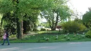 Wien &ouml;sterreich donau park Vienna City Town Water Austria water nature park