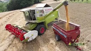 Video Agrikekko