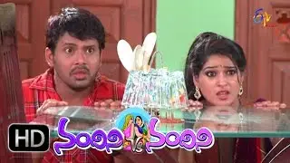 Nandini Vs Nandini - 22nd June 2016 -  నందిని Vs నందిని - Full Episode 156