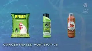 PVSGROUP India's Largest Manufacturers Of Animal Healthcare Products
