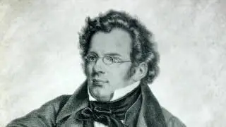 QUARTET FOR FLUTE, GUITAR, VIOLA AND CELLO G DUR - D 96 - Schubert