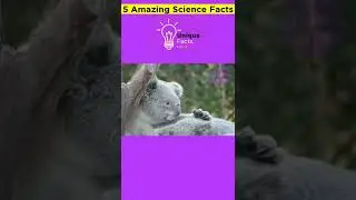 Interesting Science Facts In Hindi #shorts