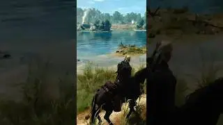 Geralt & Roach Morning Warm Up