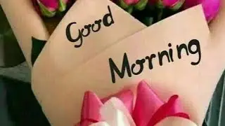 Ritu_gupta good morning