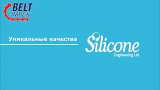 Silicone Engineering - мировой лидер по производству изделий с применением силикона