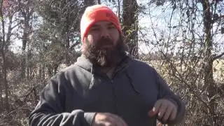 Советы по поиску кровавого следа