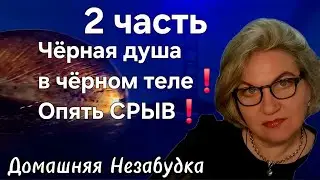 Чёрная душа в чёрном теле❗️Опять СРЫВ❗️