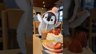 TEASING the CUTEST FLUFFY PENGUIN! 🐧✨ (You Won&rsquo;t Believe What Happens Next!)