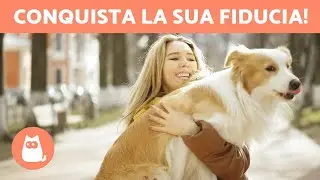5 CONSIGLI per CONQUISTARE la FIDUCIA di un CANE 🐶✅