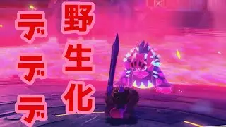 【星のカービィディスカバリー】またしてもデデデ！！フォルガトゥン・ガルを完全攻略【プレイ動画】