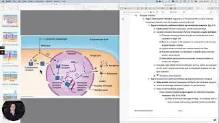 Synapses12  Signal transduction gene activation