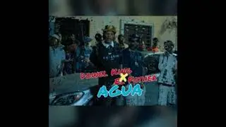 Dowel king ft el Fother- agua (Remix)
