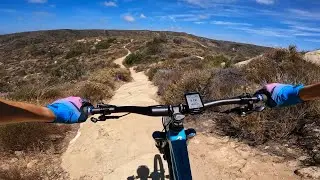 Telonics DH Trail