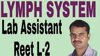 Lab Assistant Class Lymph  System
