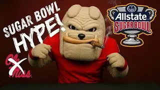 THE DAWGS ARE COMING! SUGAR BOWL HYPE!